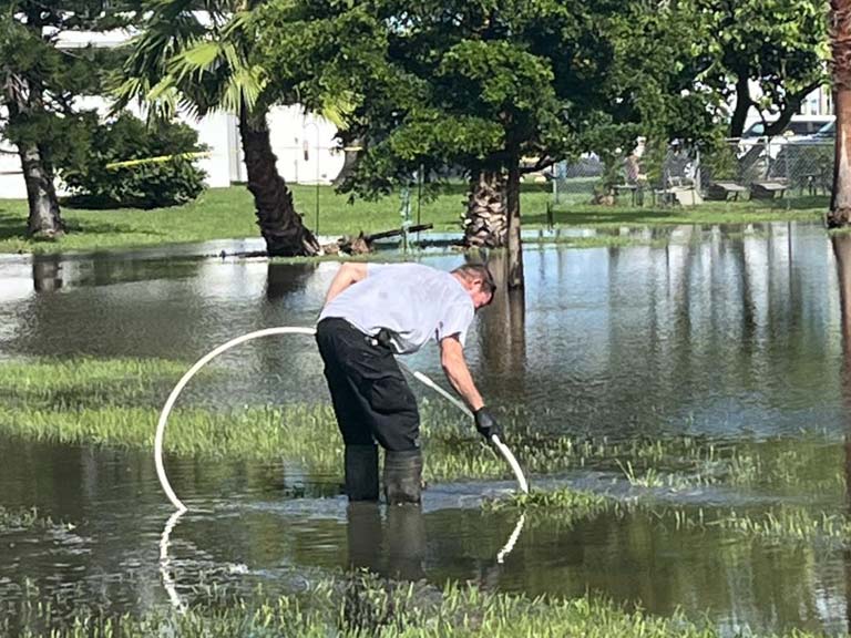 Avid-Drain-Cleaning